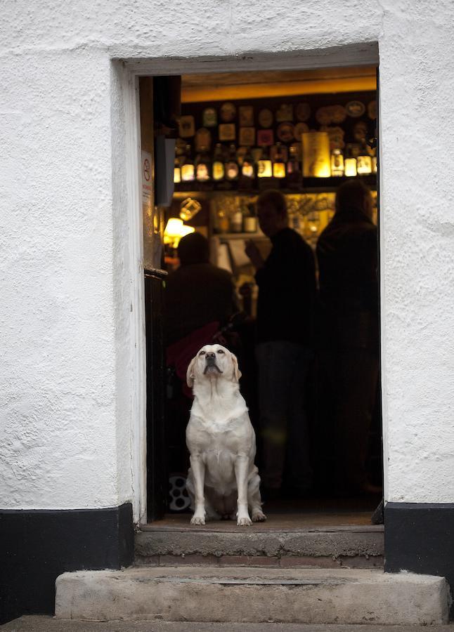 Duke Of York Hotel Dolton Bagian luar foto